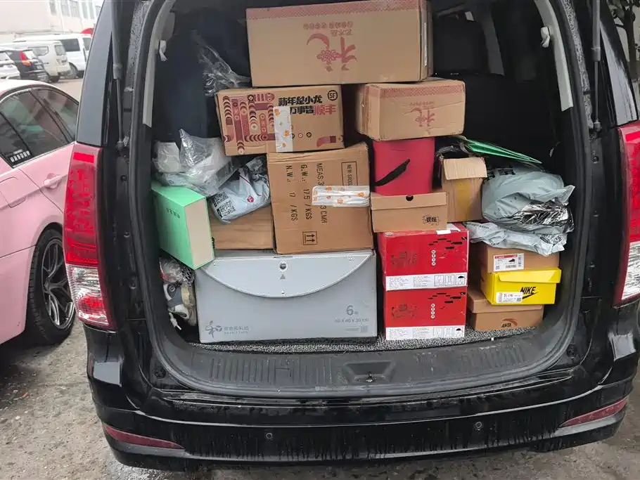 DONGFENG LINGZHI PLUS