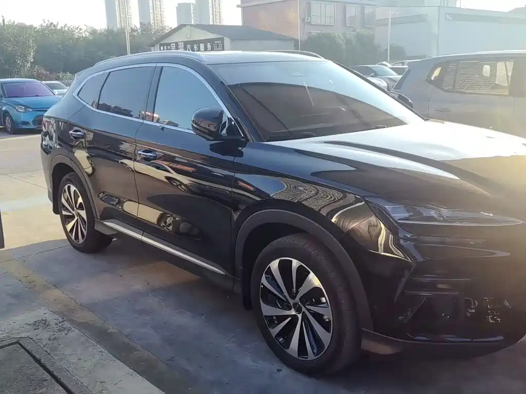 BYD PLUS New Energy — миниатюра 3