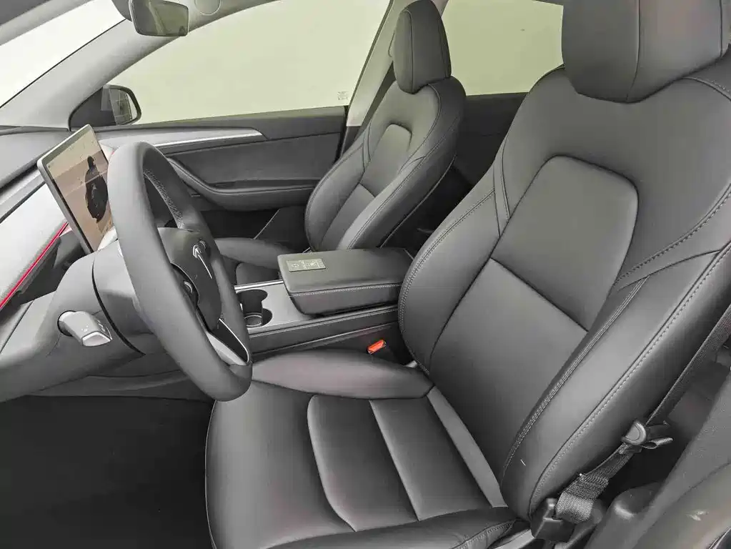Tesla Model Y — миниатюра 4