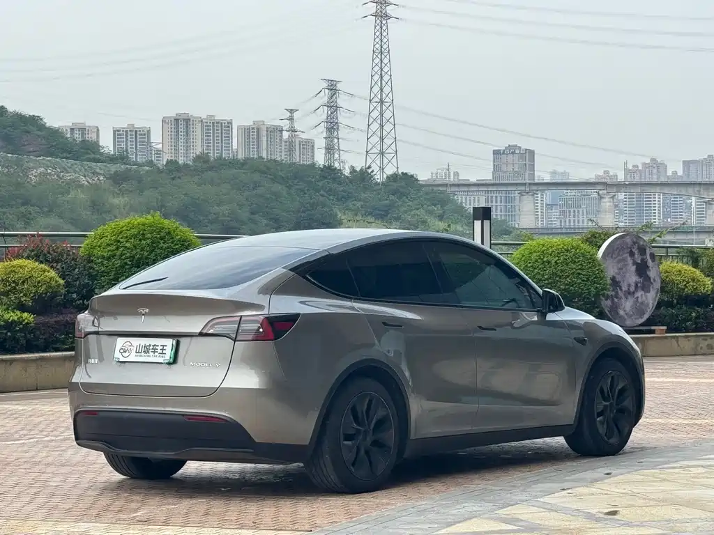 Tesla Model Y — миниатюра 13