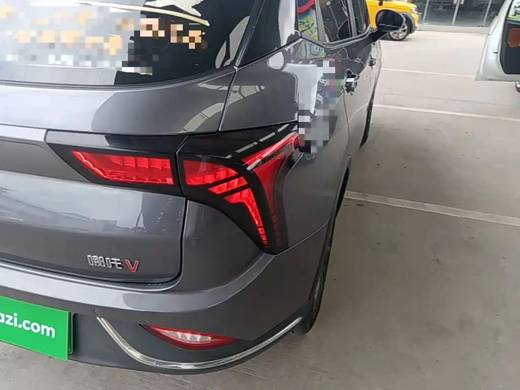 Neta Neta V — миниатюра 8