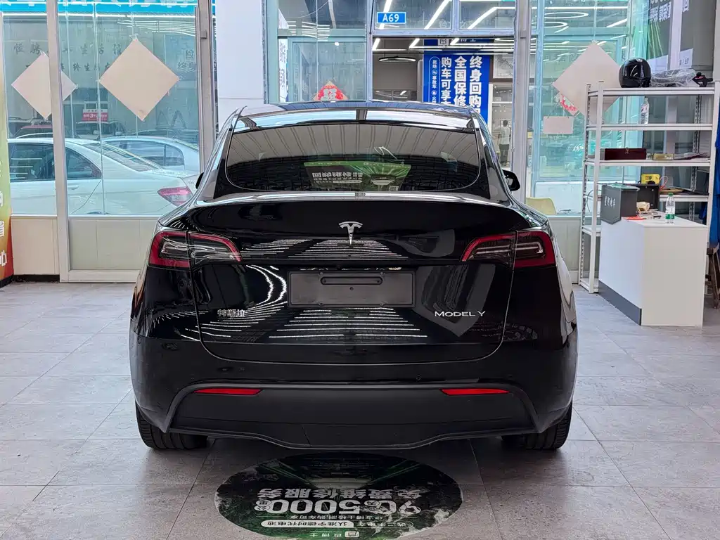 Tesla Model Y — миниатюра 6