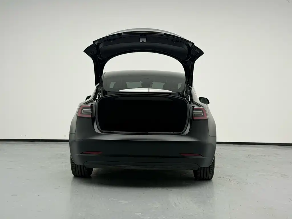 Tesla Model 3 — миниатюра 11