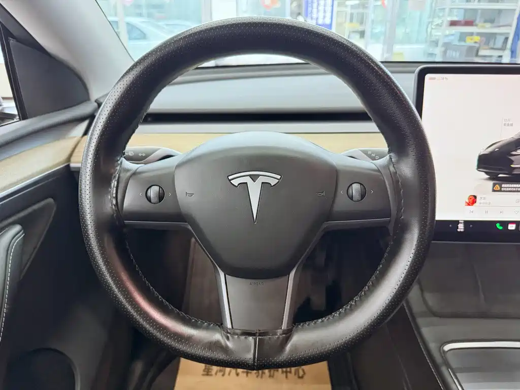 Tesla Model Y — миниатюра 12