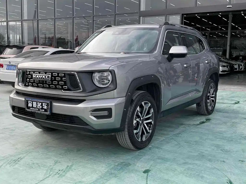  SECOND GENERATION BIG DOG