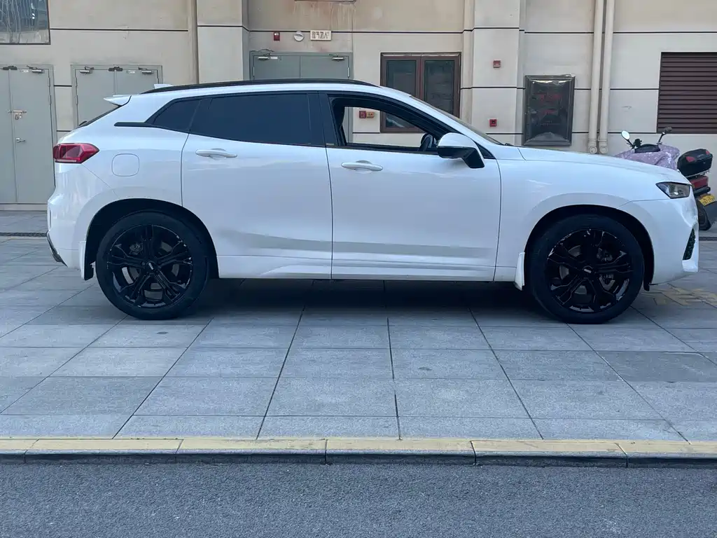 WEI PAI WEI BRAND VV7