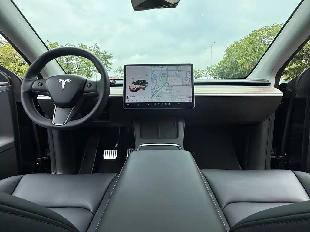 Tesla Model Y — миниатюра 23