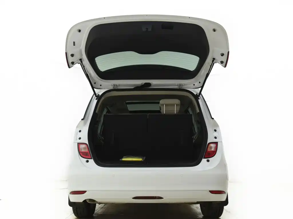 Buick GL6 — миниатюра 15
