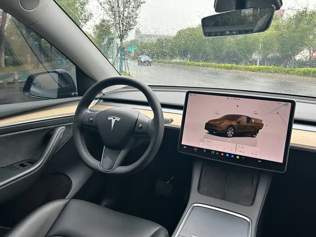 Tesla Model Y — миниатюра 9