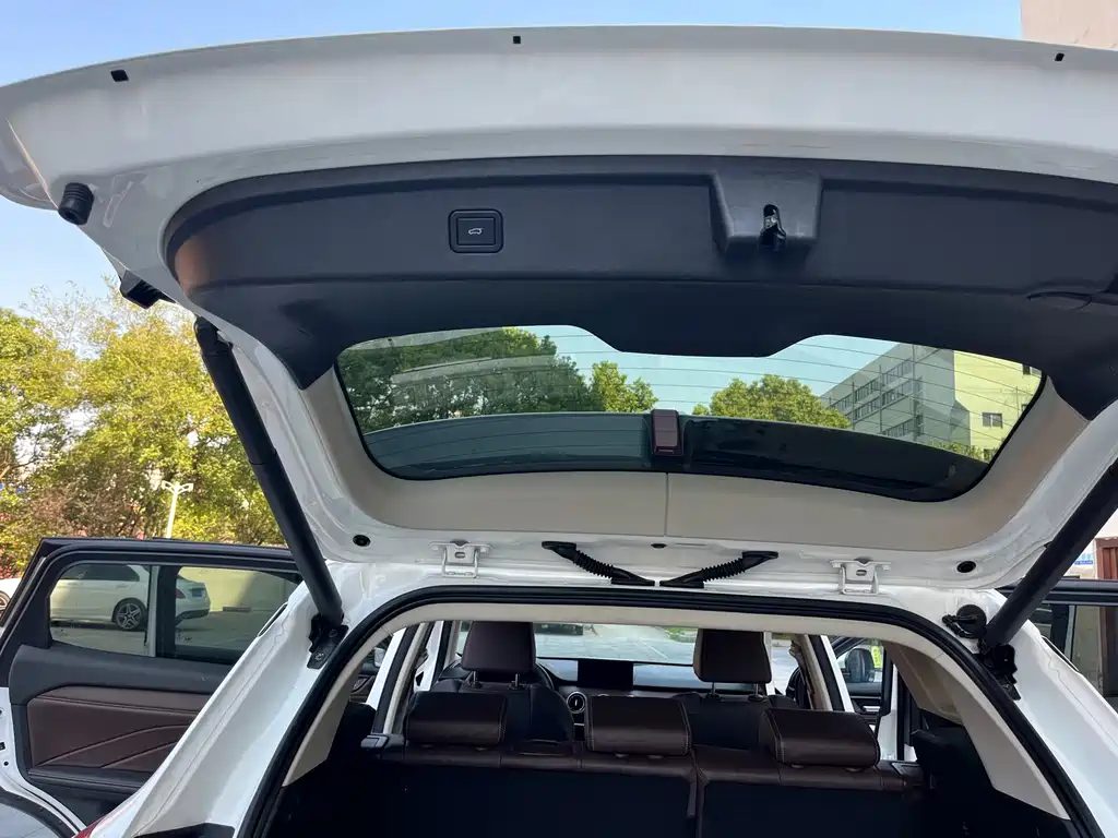 Wey Wey VV6 — миниатюра 19