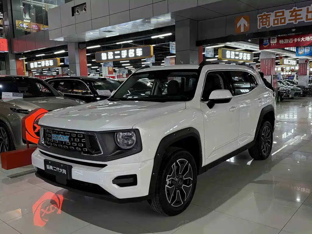 HAVAL SECOND GENERATION BIG DOG NEW ENERGY