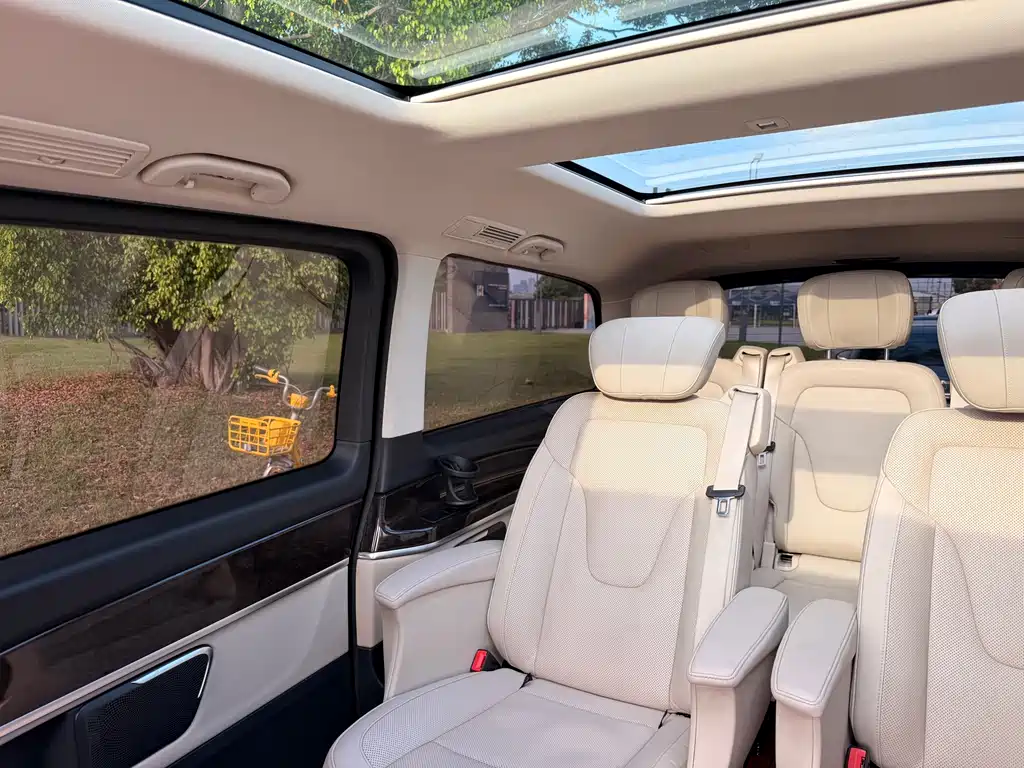 Mercedes-Benz V-Class V 2018 V 260 L Luxury Long Wheelbase VI