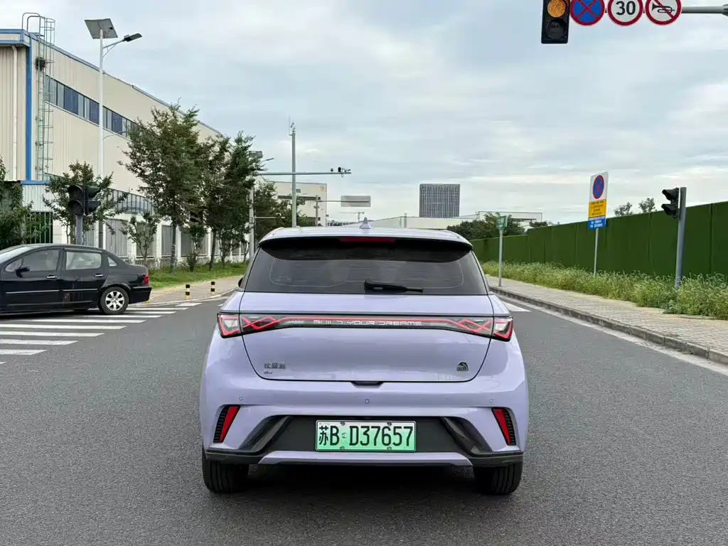 BYD Dolphin — миниатюра 5