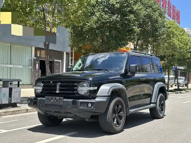 2021 TANK 300