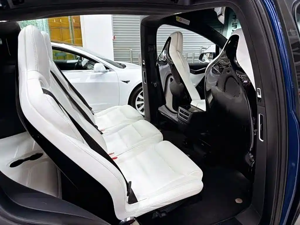 Tesla Model X — миниатюра 7