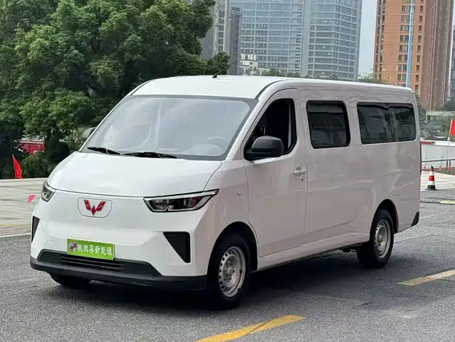 2025 Wuling Motors Yangguang
