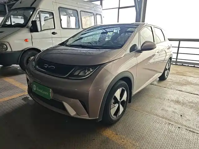 2023 BYD Dolphin