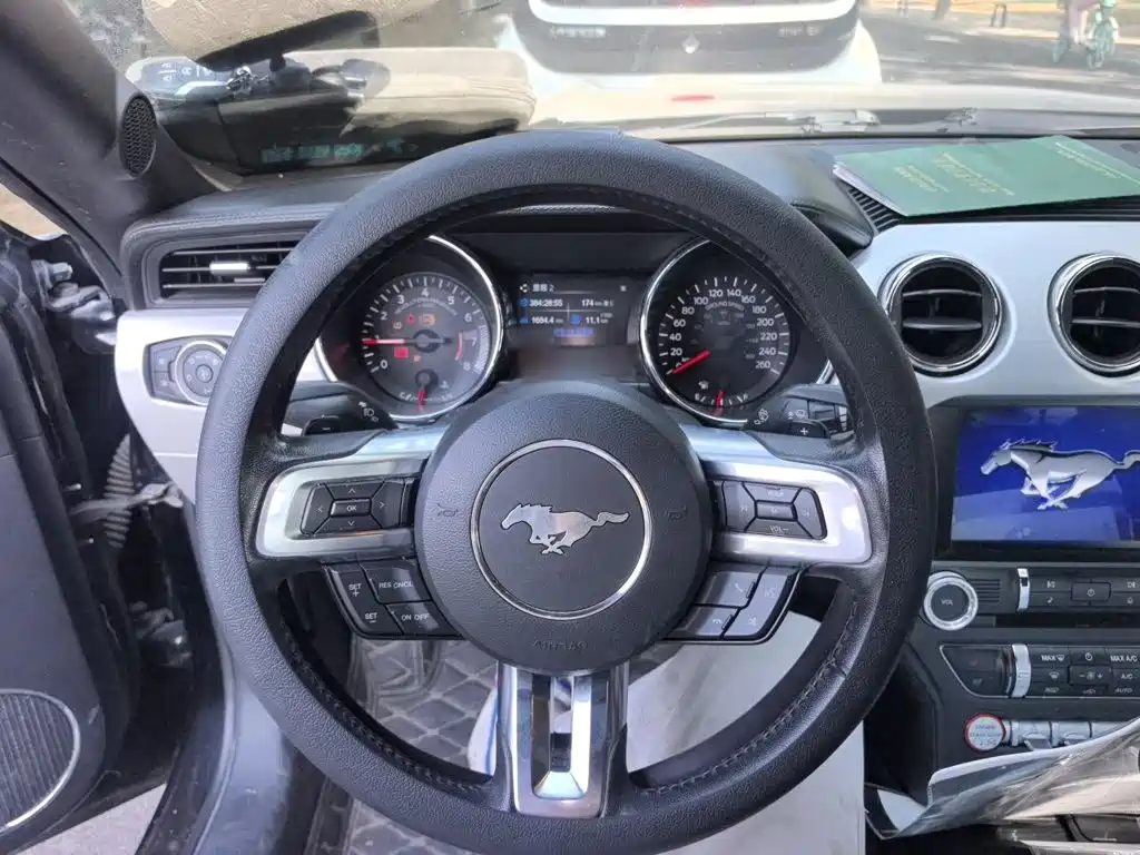 Ford Mustang — миниатюра 11