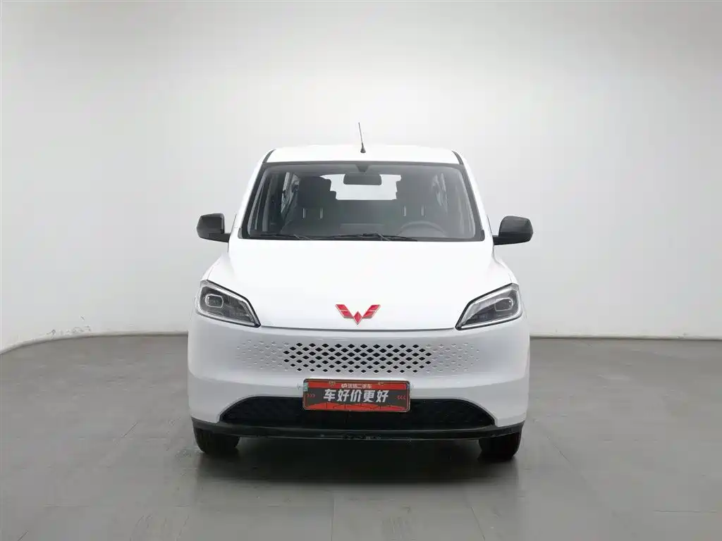 WULING WULING HONGGUANG NEW ENERGY