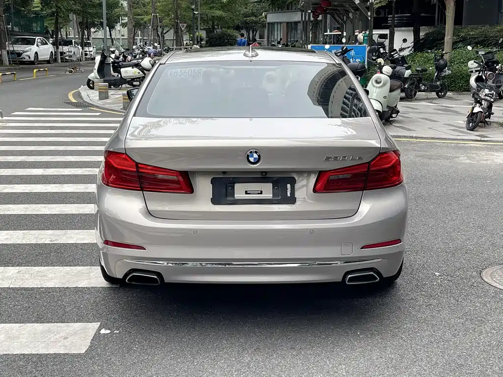 BMW 5 Series 5 2019 530Le Luxury