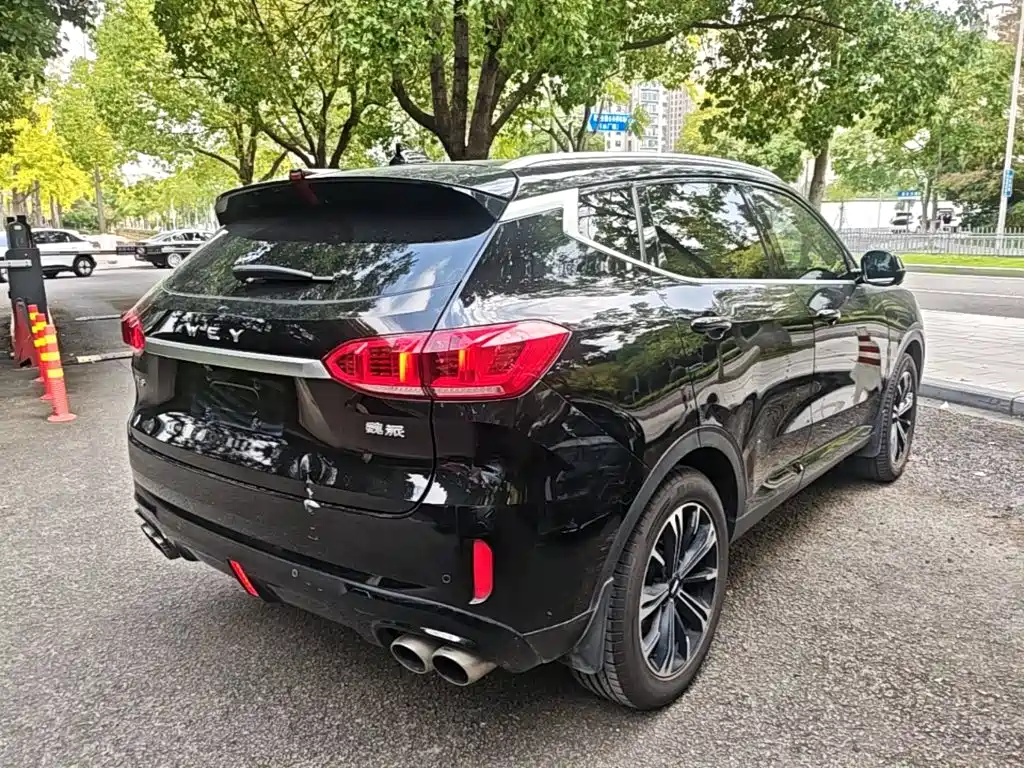 Wey Wey VV6 — миниатюра 7