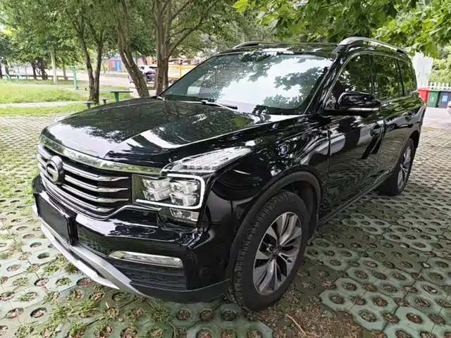 2019 GAC Trumpchi GS8