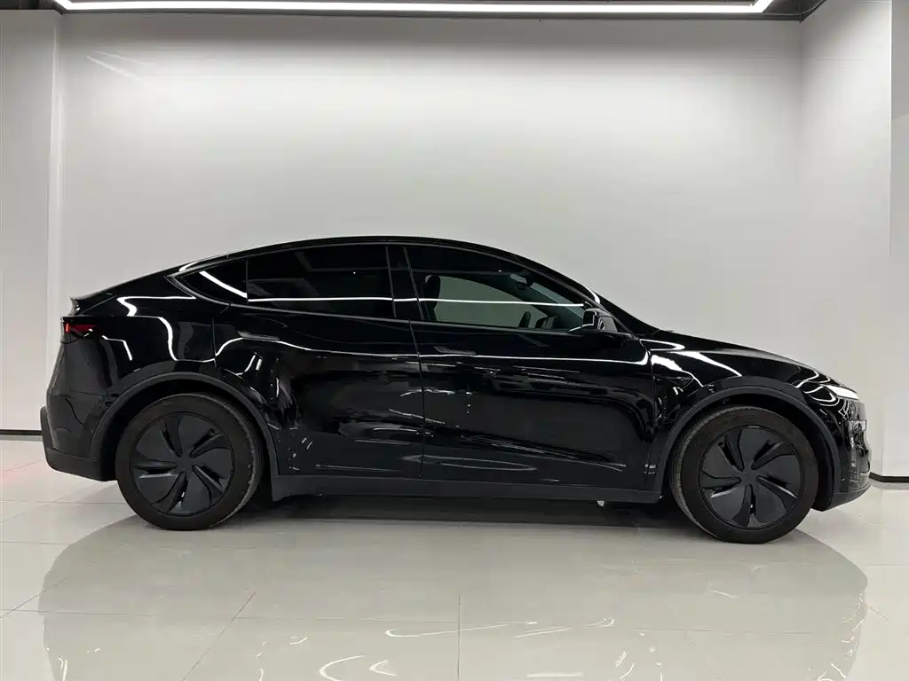 Tesla Model Y — миниатюра 3