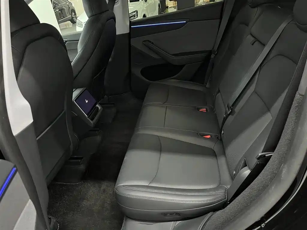 Tesla Model Y — миниатюра 9