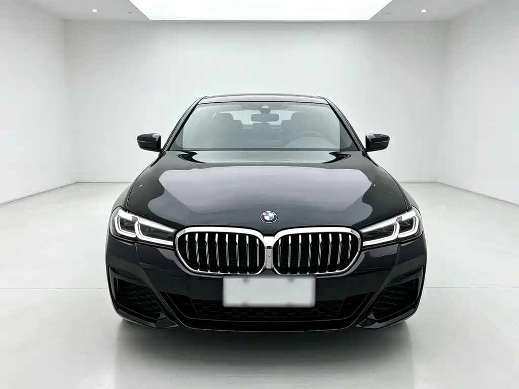 BMW 5 Series — миниатюра 2