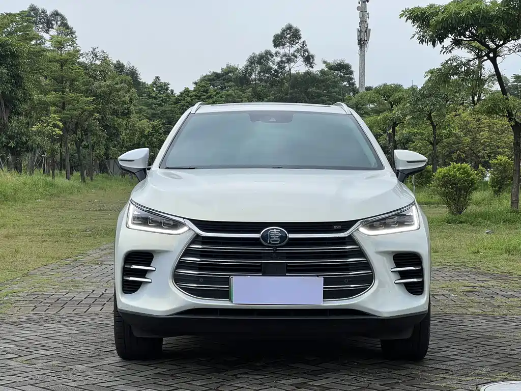 BYD Tang New Energy — миниатюра 2
