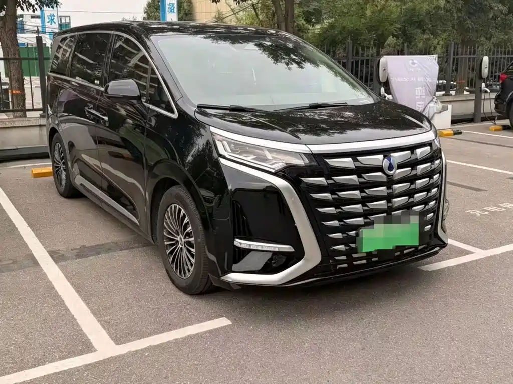 Denza Denza D9 — миниатюра 2