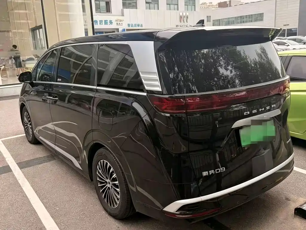 Denza Denza D9 — миниатюра 10