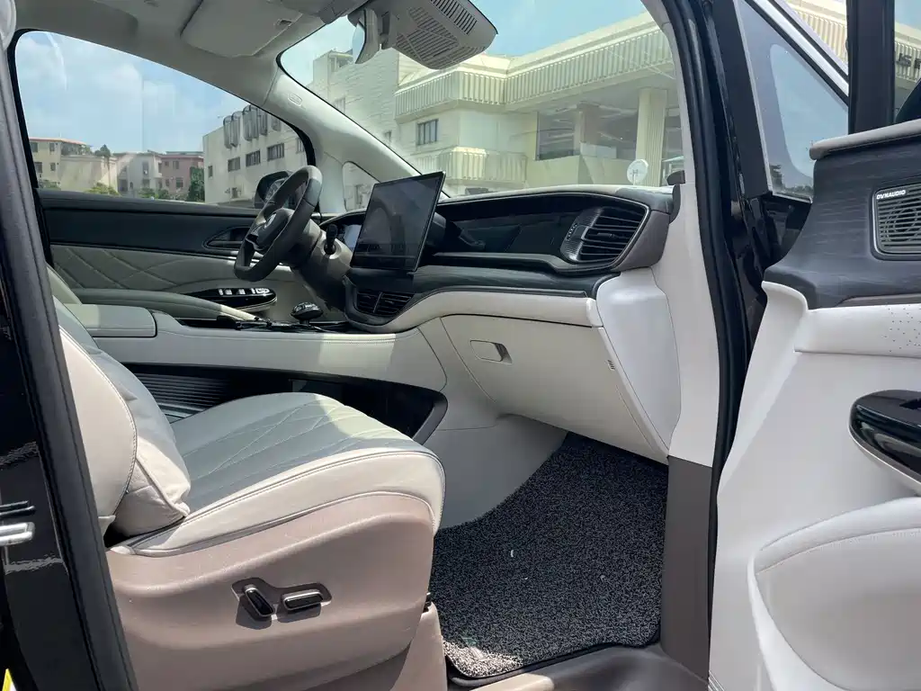 Denza Denza D9 — миниатюра 23