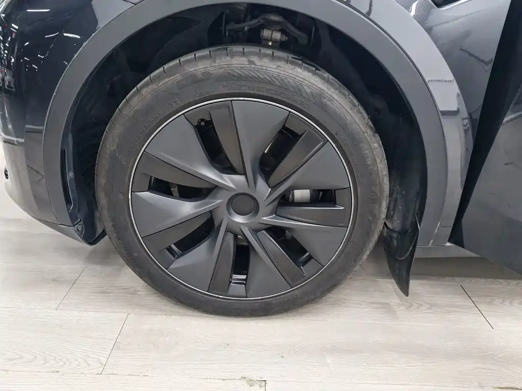 Tesla Model Y — миниатюра 10