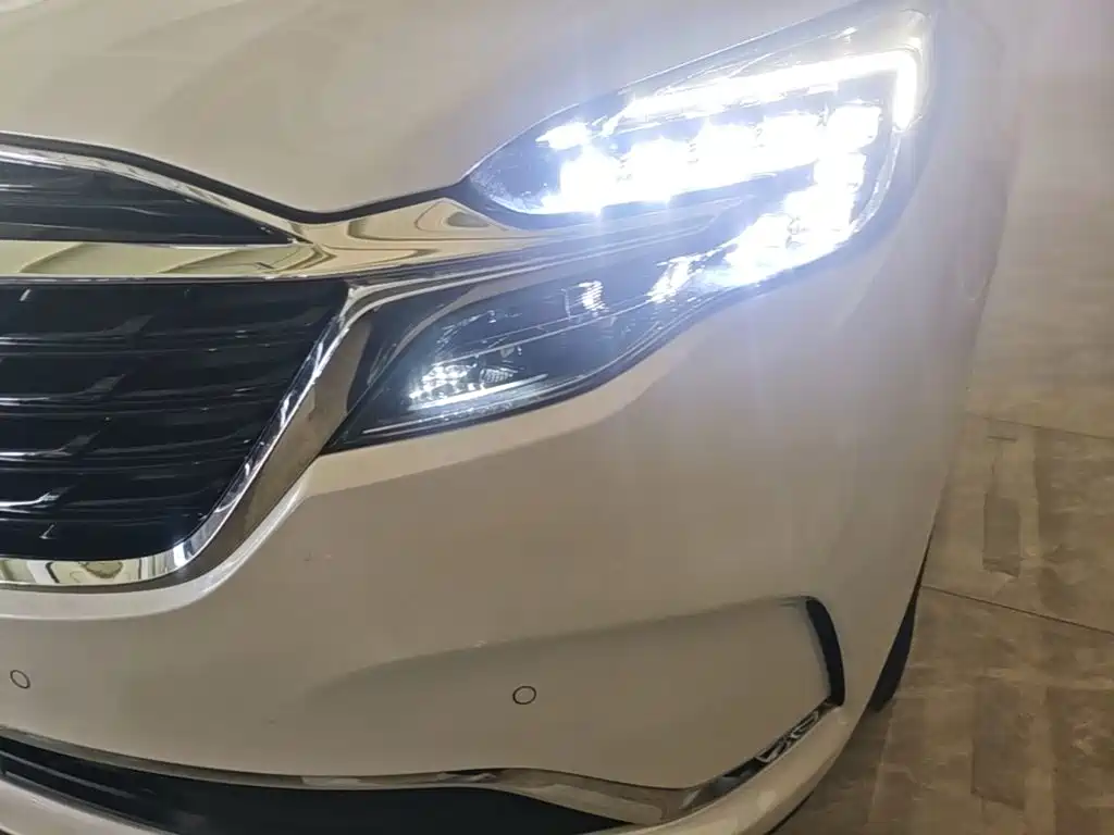 Buick GL8 — миниатюра 24