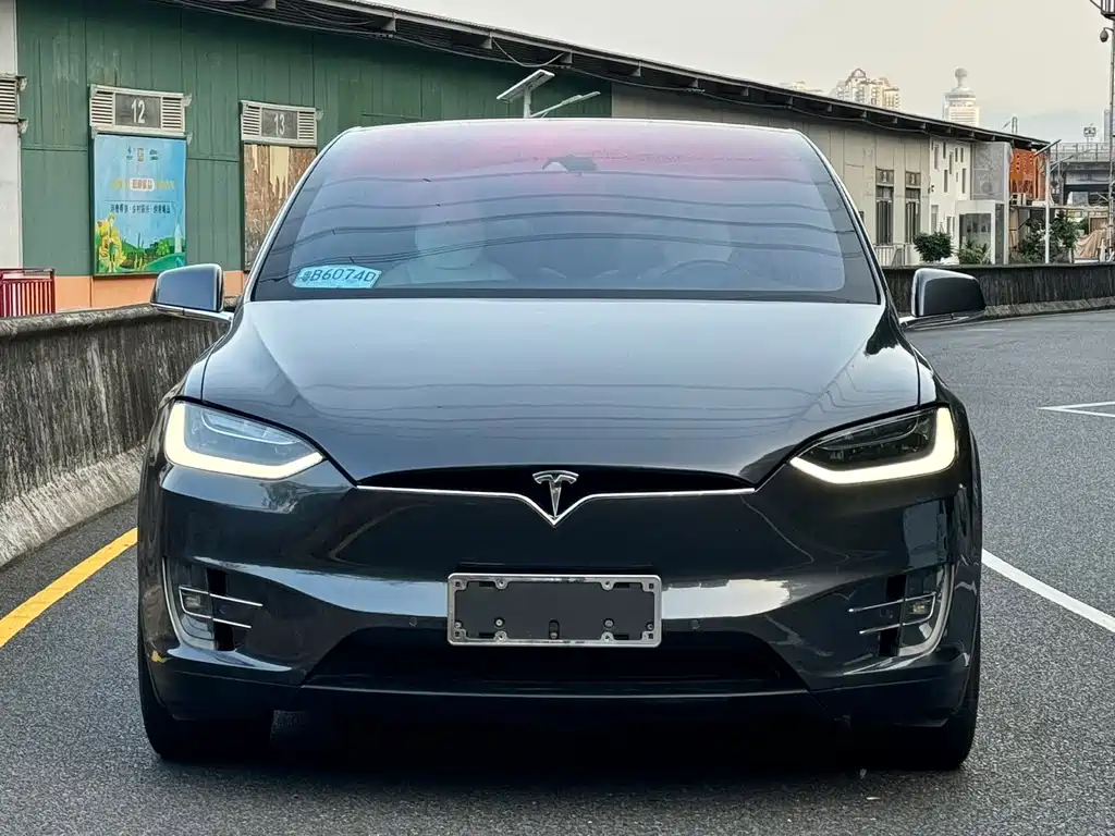 Tesla Model X — миниатюра 2