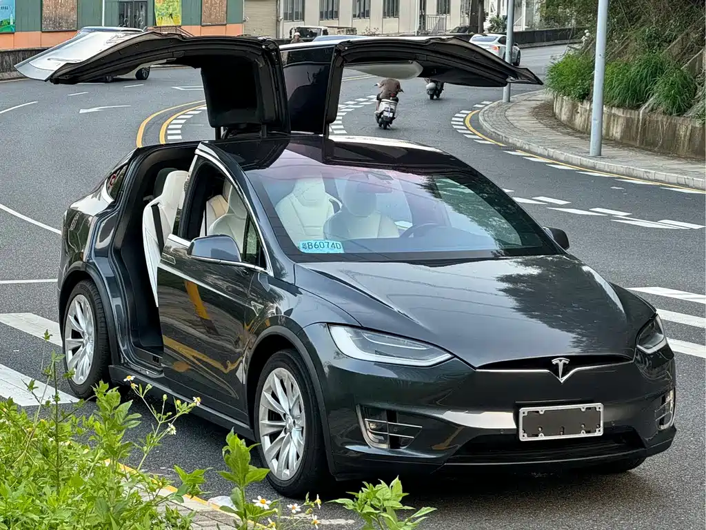 Tesla Model X — миниатюра 16