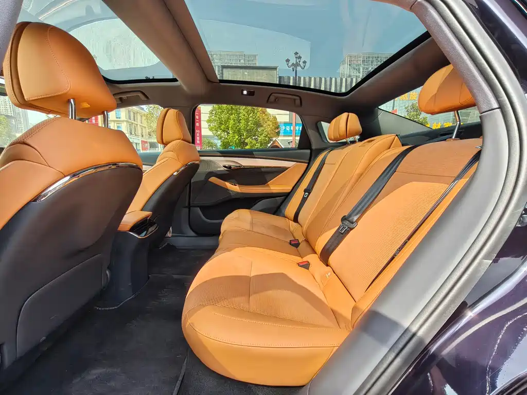 Voyah Passion 2024 PHEV Flagship