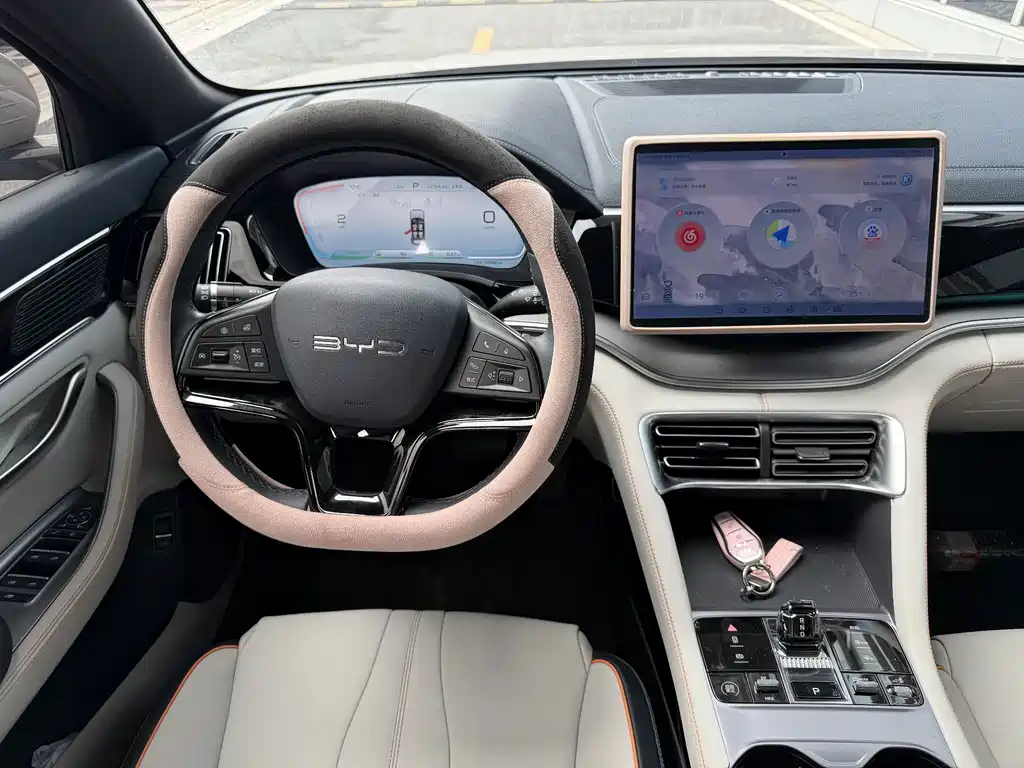 BYD PLUS New Energy — миниатюра 4