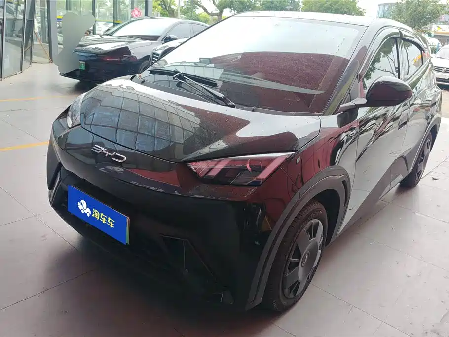 Byd Seagull 2024