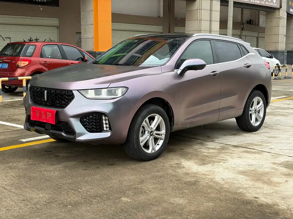 Wey Wey VV5 2019