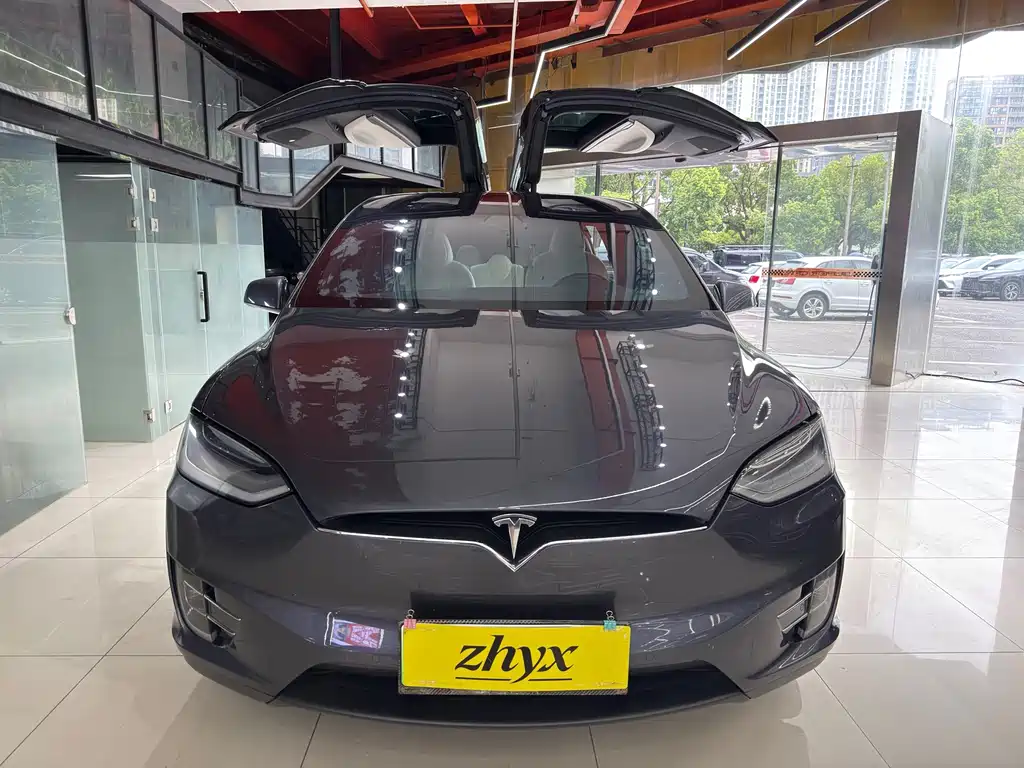 Tesla Model X — миниатюра 2