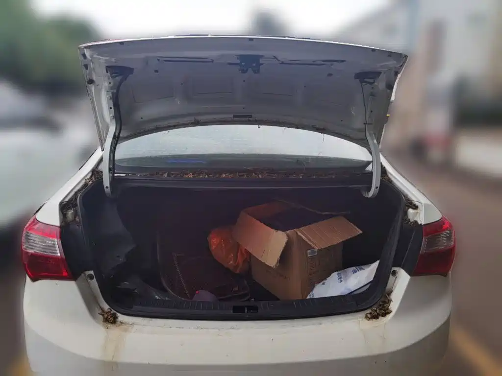 Haima Haima M3 — миниатюра 20