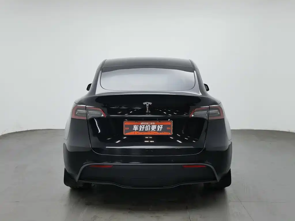 Tesla Model Y — миниатюра 4