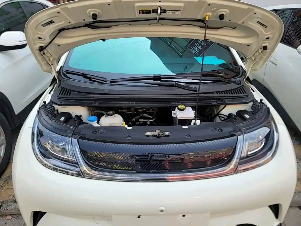 BYD Dolphin — миниатюра 20