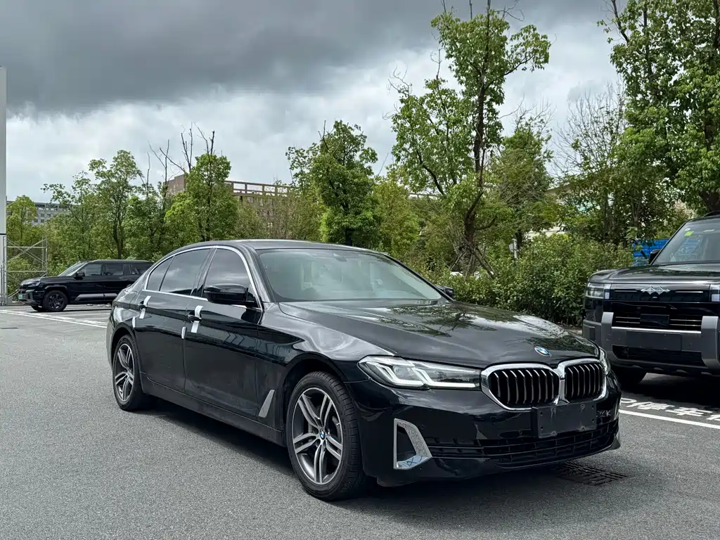 BMW 5 Series — миниатюра 3