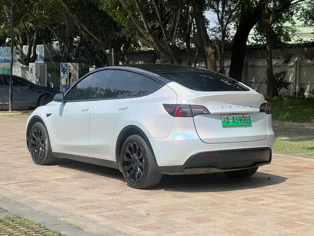 Tesla Model Y — миниатюра 9