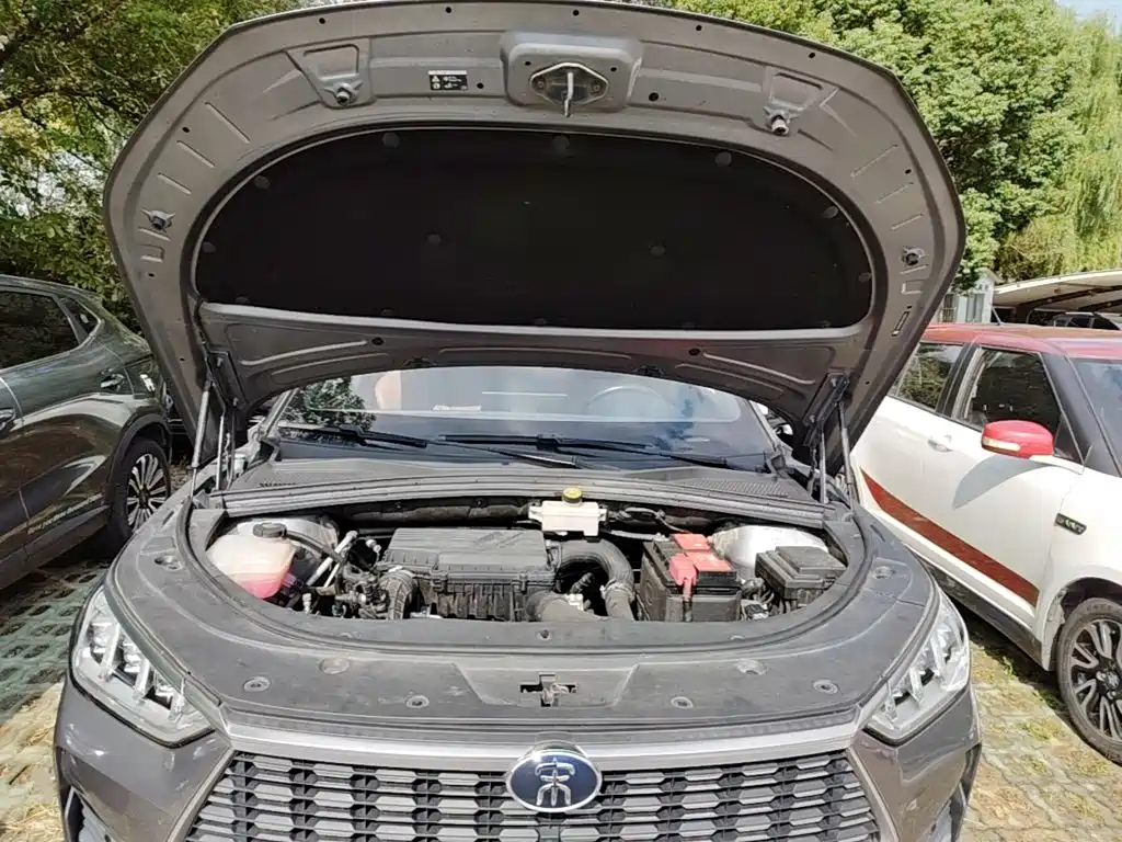 BYD PLUS — миниатюра 20