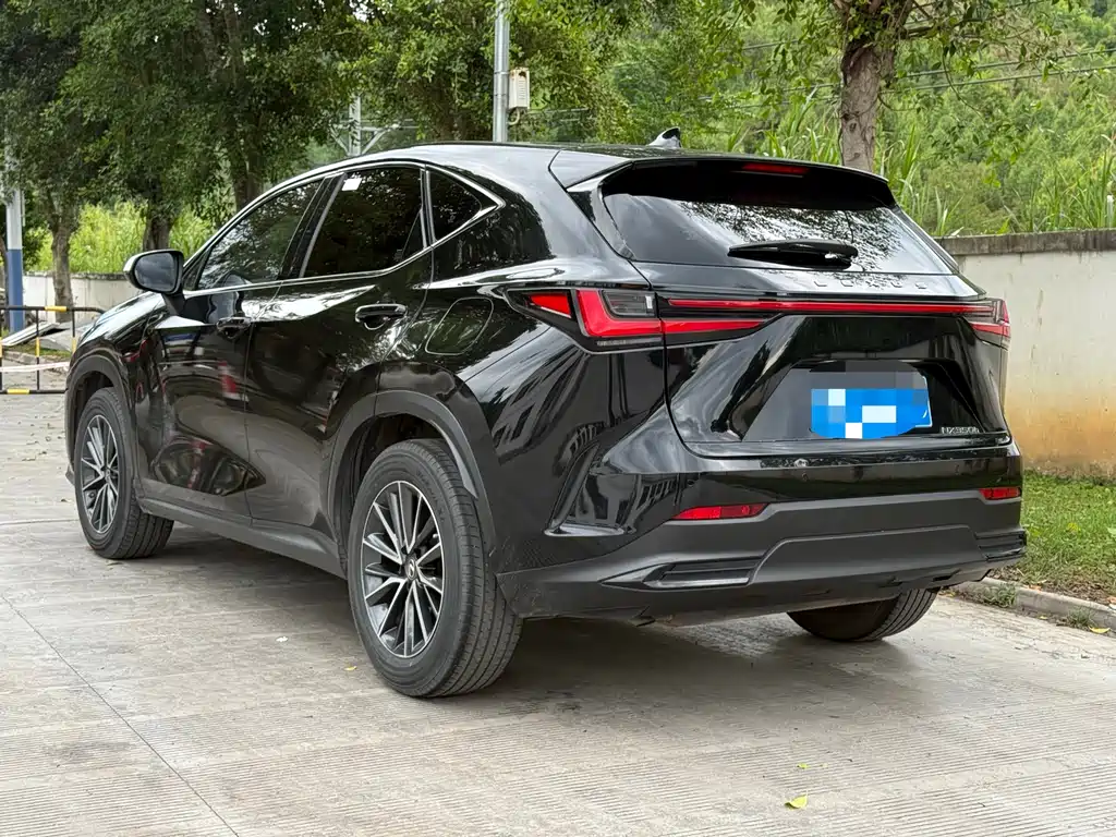 Lexus NX — миниатюра 5