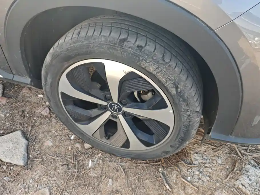 BYD PLUS New Energy — миниатюра 6